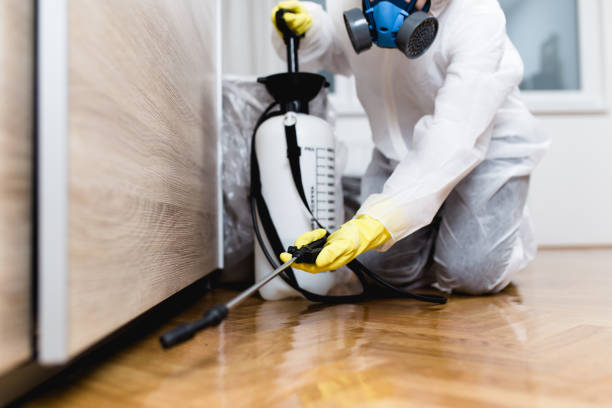 Best Mosquito Control Services  in Laurel Lake, NJ