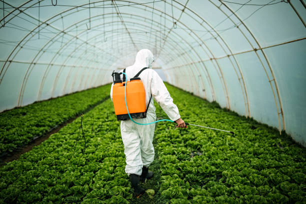 Best Pest Control Near Me  in Laurel Lake, NJ