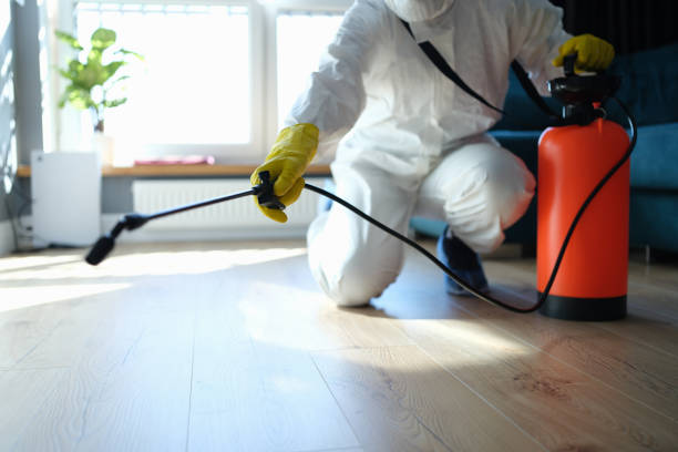 Best Local Pest Control Services  in Laurel Lake, NJ