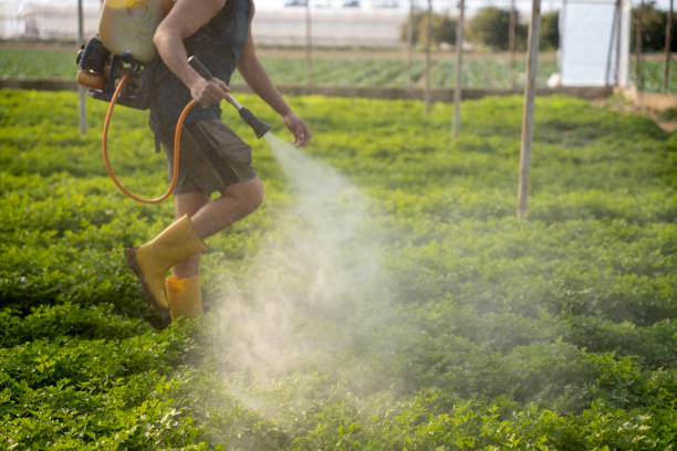 Best Affordable Pest Control Services  in Laurel Lake, NJ