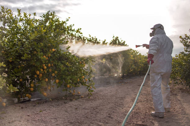 Best Best Pest Control Companies  in Laurel Lake, NJ