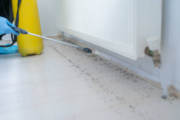 Best Mosquito Control Services  in Laurel Lake, NJ