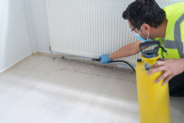 Best Pest Inspection Near Me  in Laurel Lake, NJ