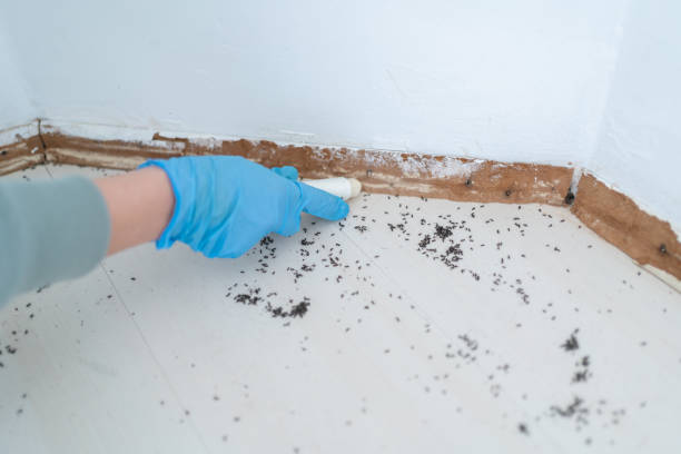 Best Pest Removal Services  in Laurel Lake, NJ