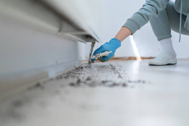 Trusted Laurel Lake, NJ Pest Control Experts
