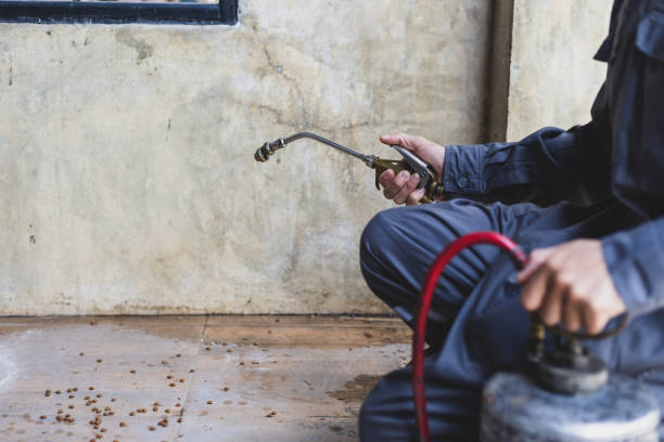 Best Termite Control Services  in Laurel Lake, NJ